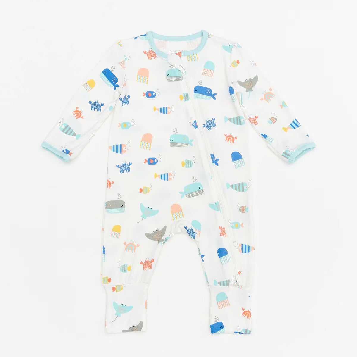 Not Too Big Essentials Gifting Set (6 Piece)