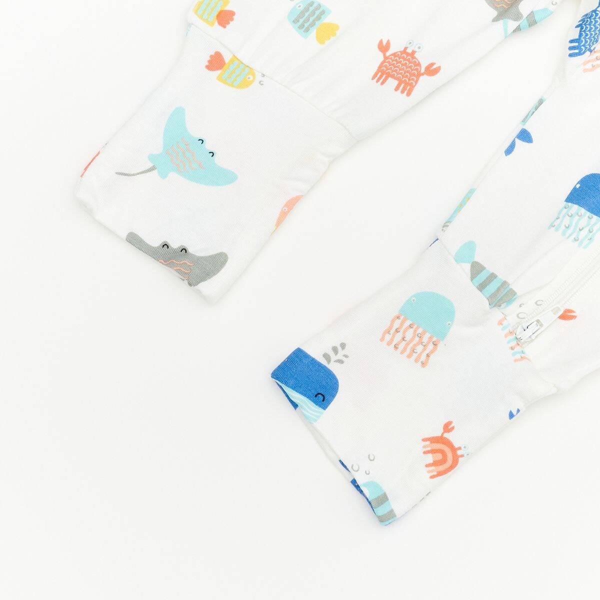 Not Too Big Essentials Gifting Set (6 Piece)