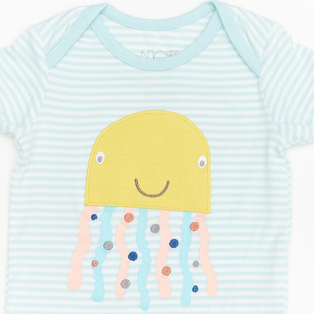 Not Too Big Essentials Gifting Set (6 Piece)