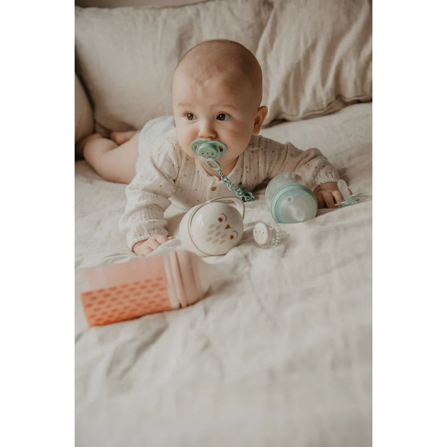 Suavinex Duo Soother Case