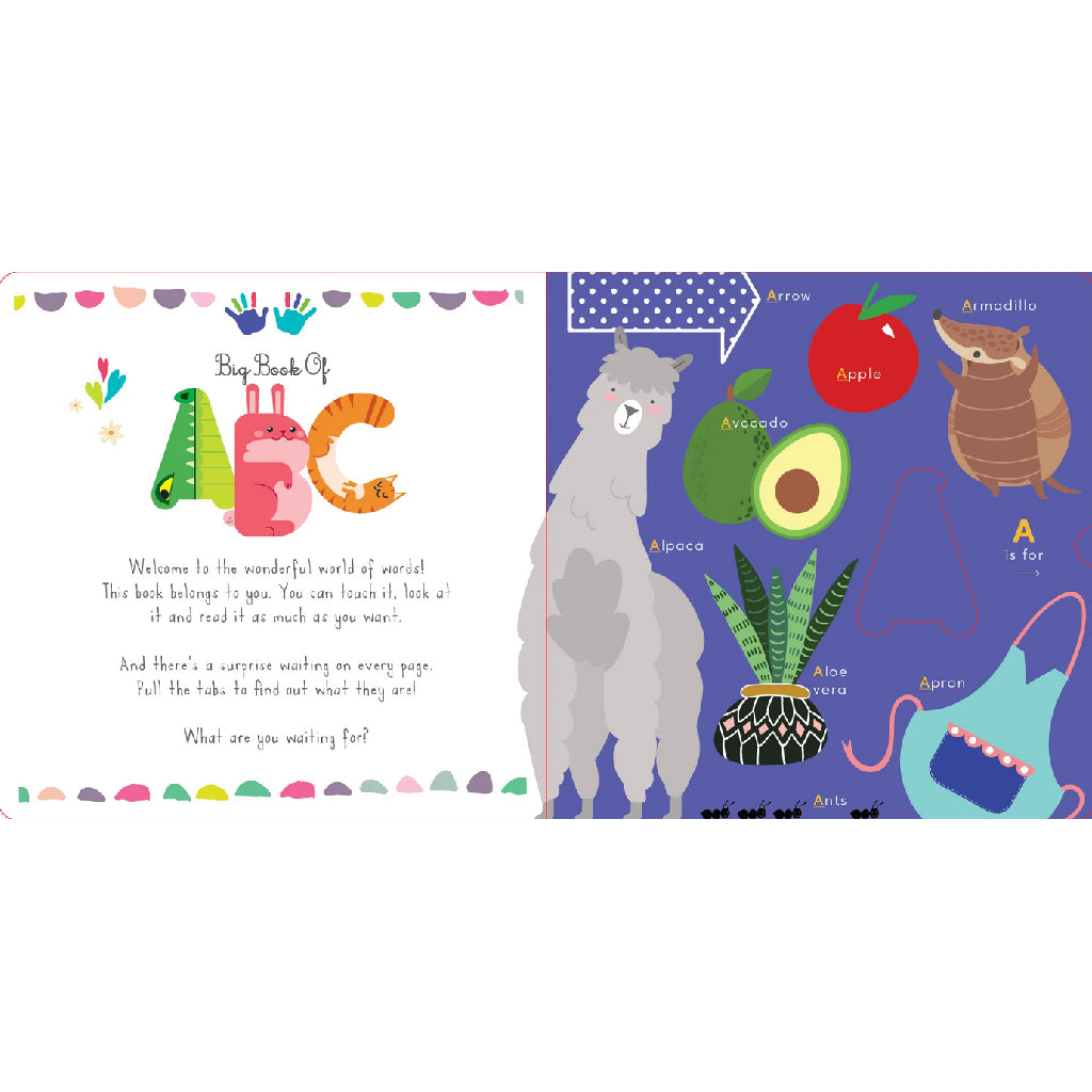 Shoebox Media: Big Book of ABC