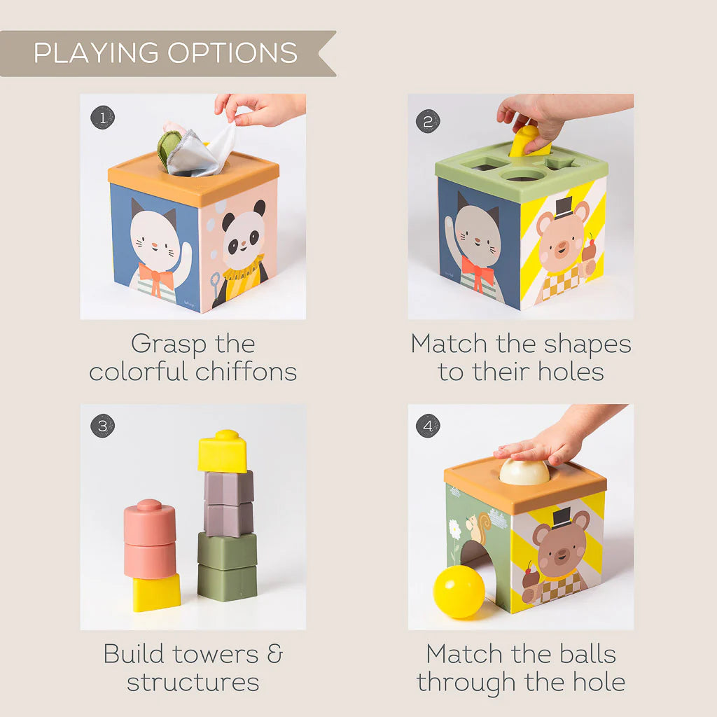 Taf Toys Play & Discover Cube