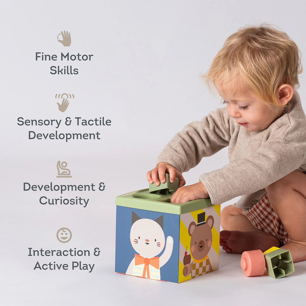 Taf Toys Play & Discover Cube
