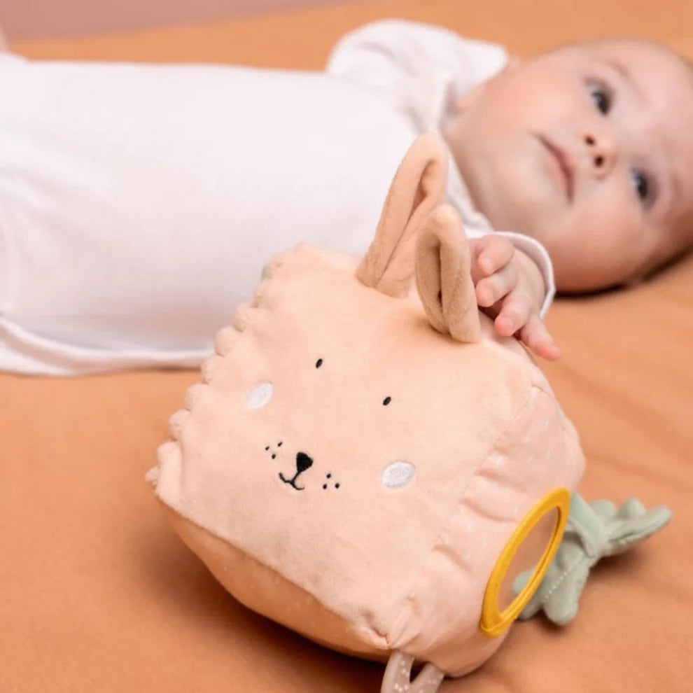 Trixie Animal Activity Cube (Assorted)