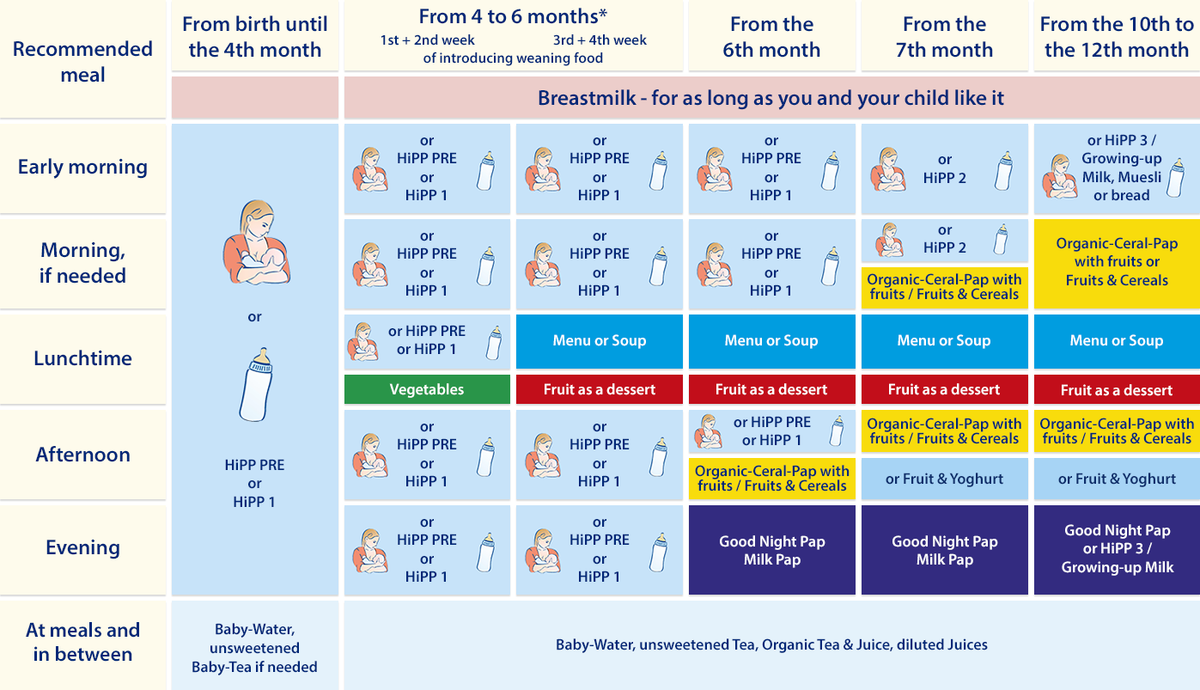 HiPP Combiotic Organic Infant Milk Stage 1 800g (From birth)