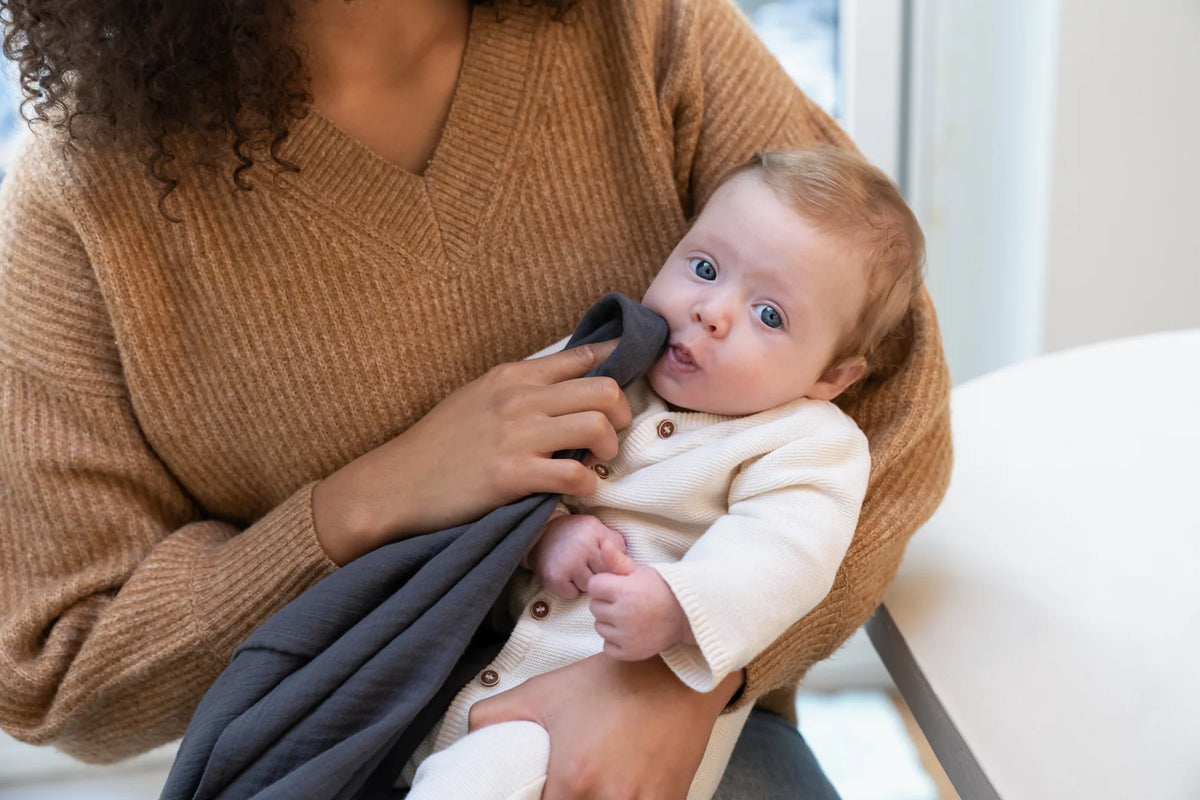 Doomoo Mom'N Play: Multi-Functional Nursing Cover With Teether