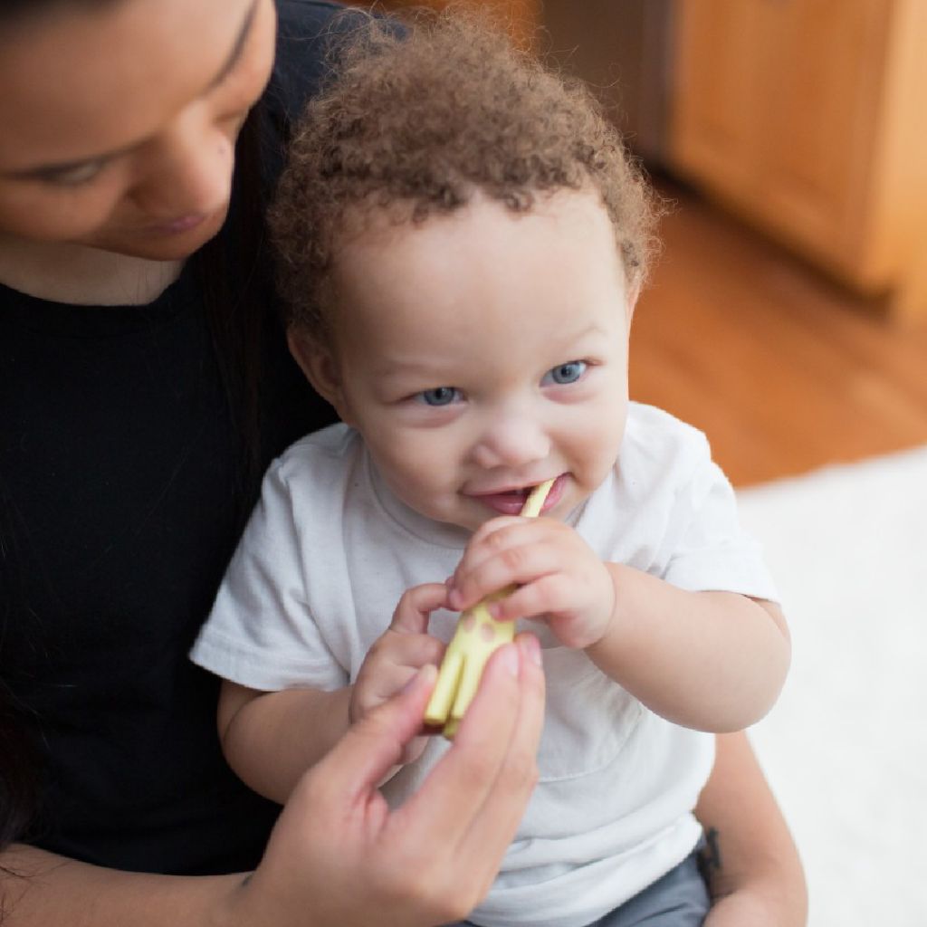 Dr. Brown’s™ Infant-to-Toddler Toothbrush (Giraffe)