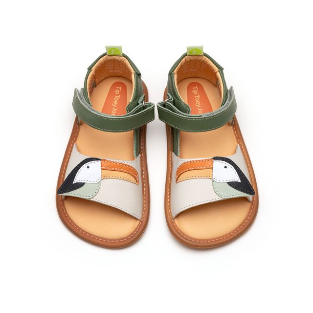 Tip Toey Joey Toucan