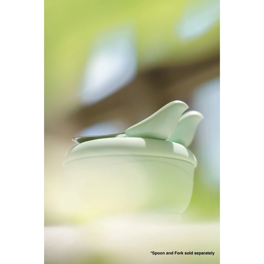 Cyd Terra Picaboo Bowl