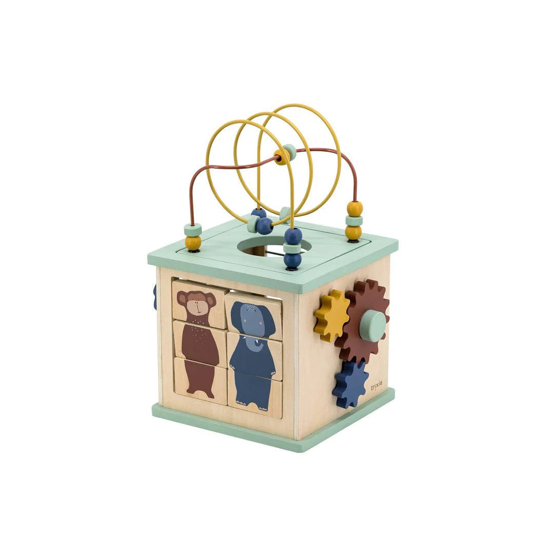 Trixie Wooden 5-In-1 Activity Cube
