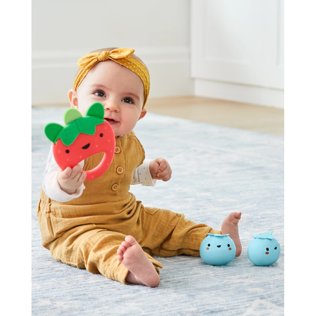 Skip Hop Farmstand Berry Band Set