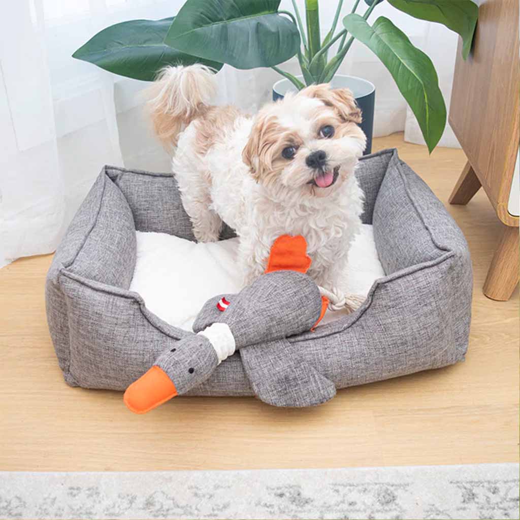 Louie Living Pet Toy - Dodo The Duck