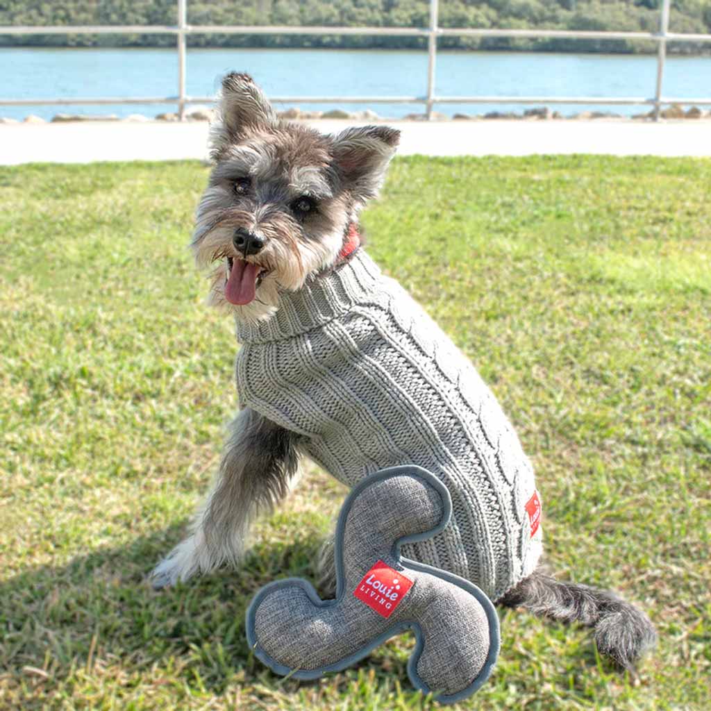 Louie Living Pet Toy - Frisbee