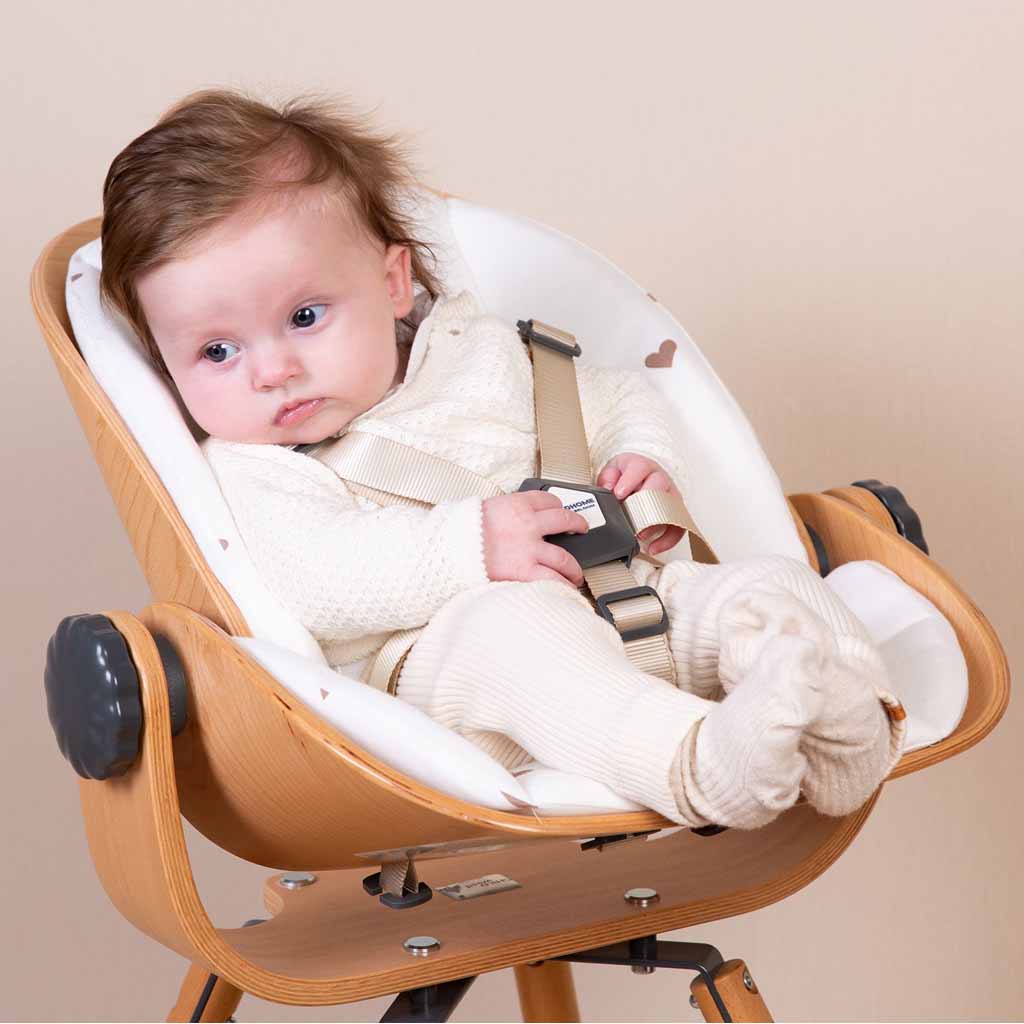 Childhome Evolu Newborn Seat Natural Anthracite