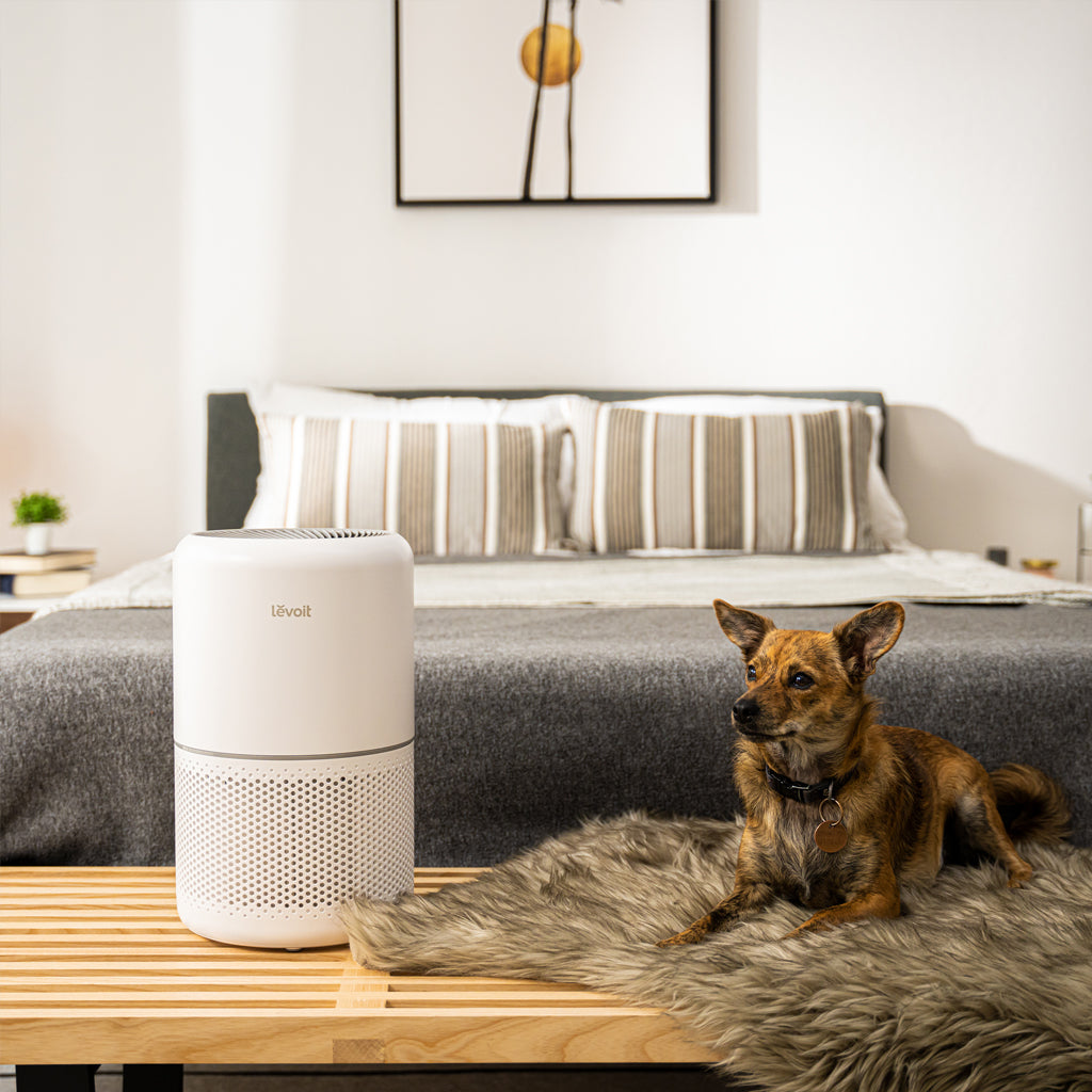 Levoit Core 300S Smart H13 HEPA Air Purifier