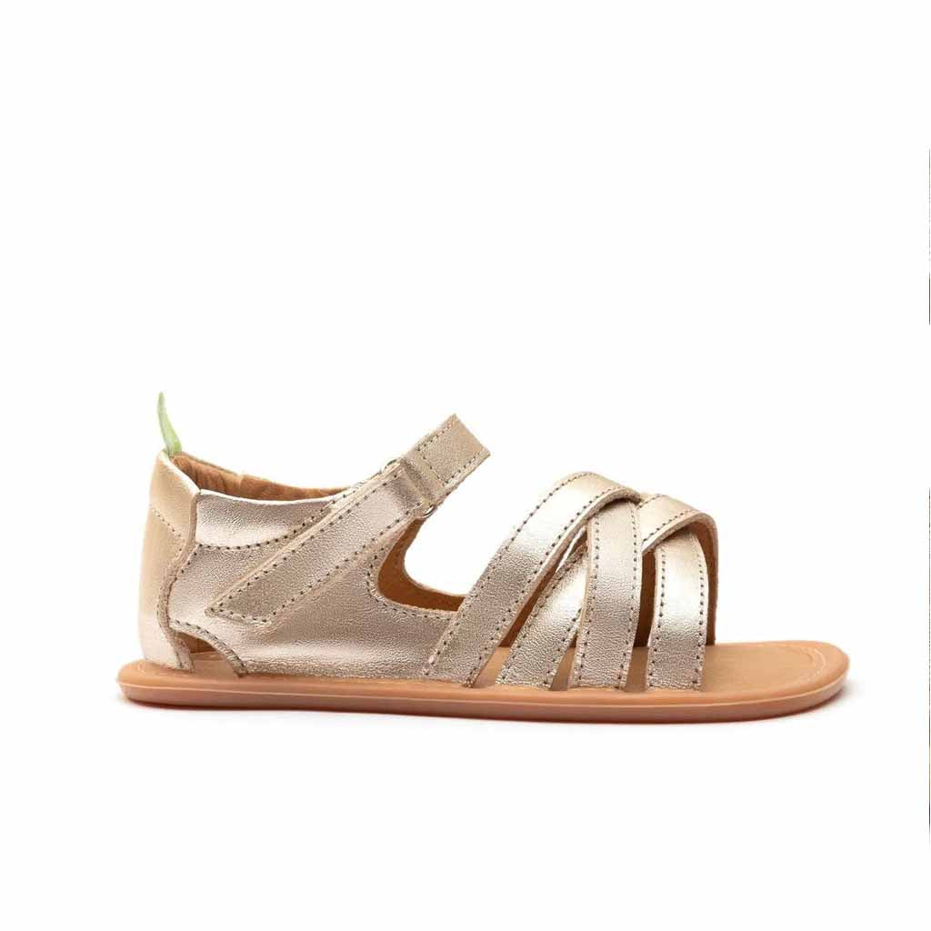 Tip Toey Joey Toddler Sandal Criss Cross - Champagne