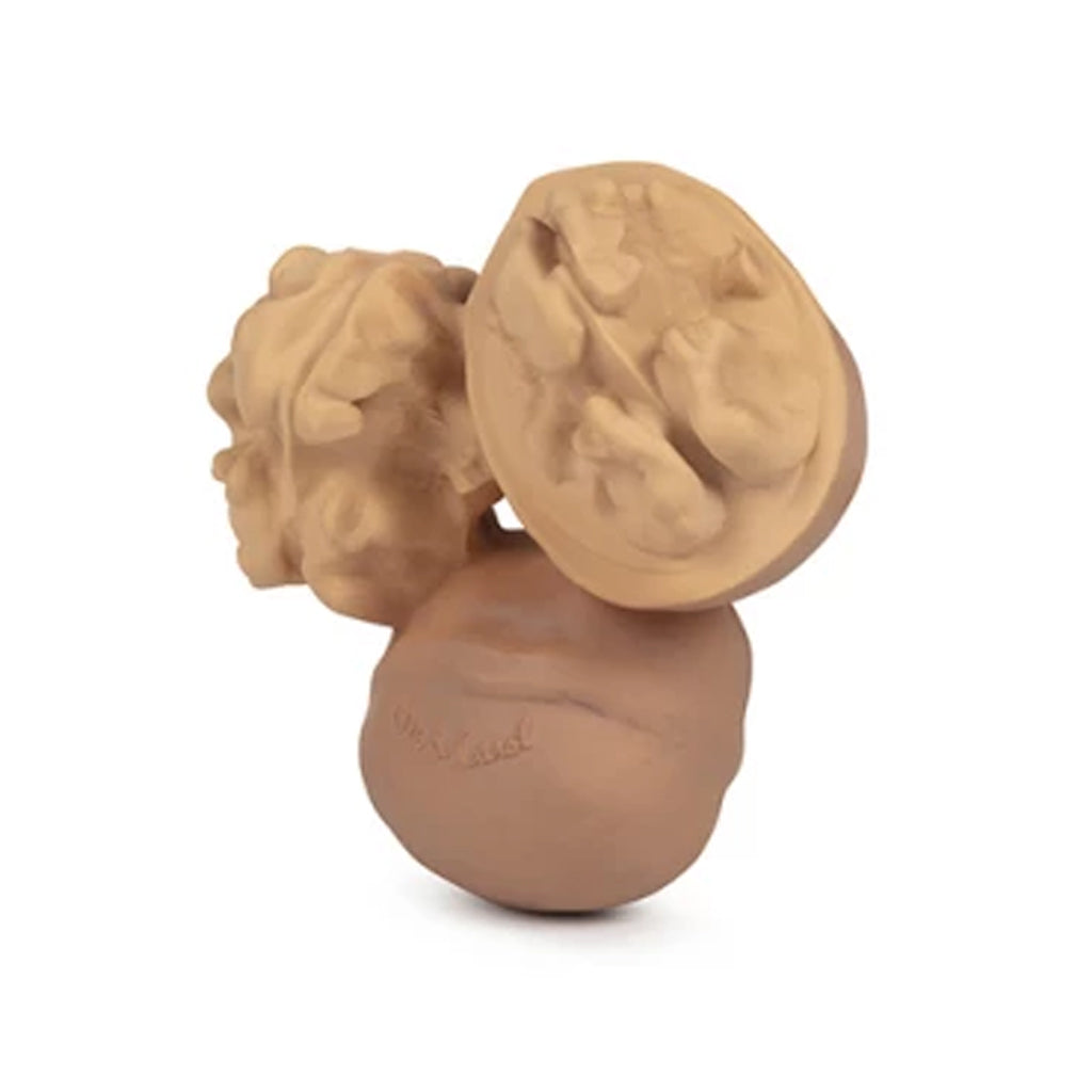 Oli&Carol Nutty the Walnut Teether