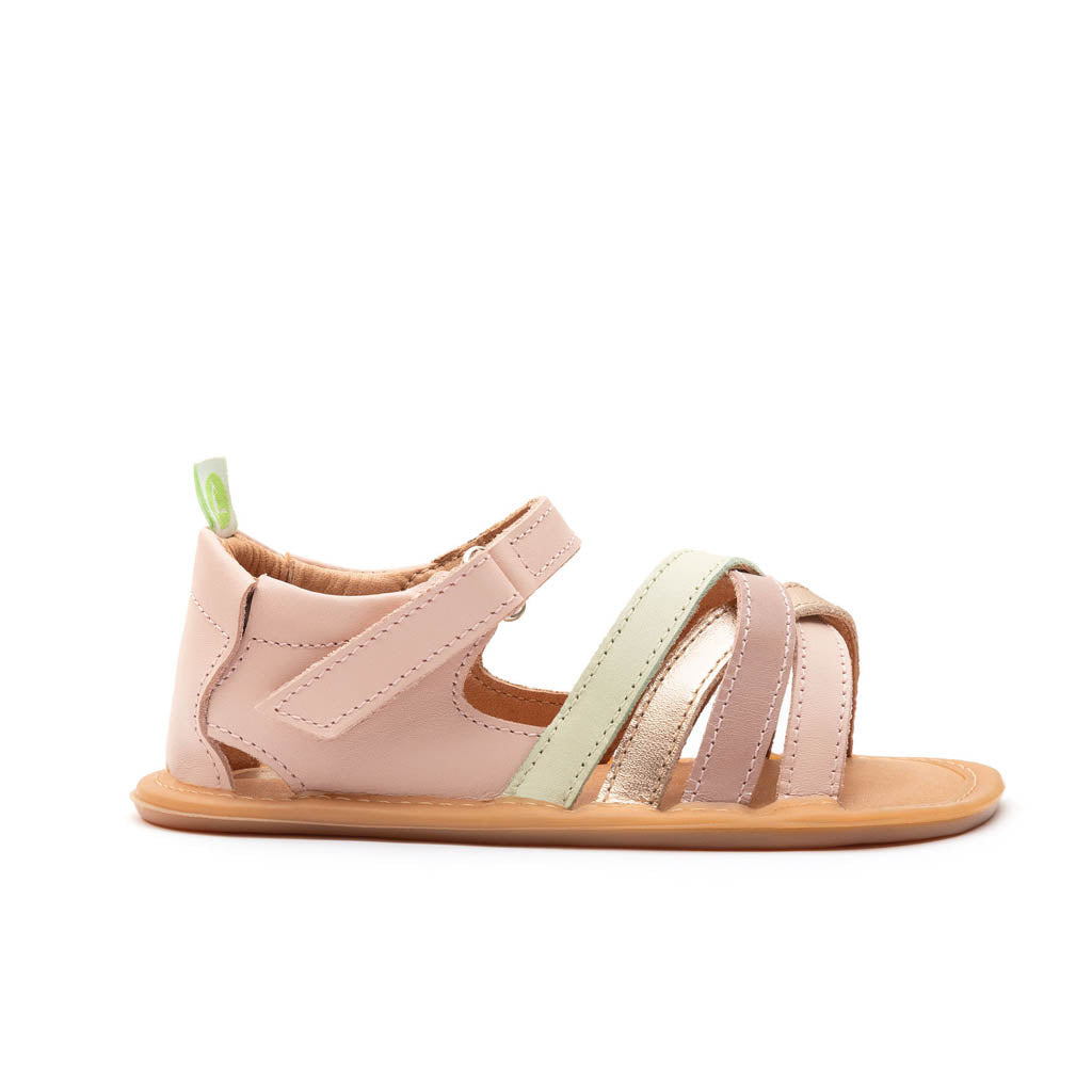 Tip Toey Joey Toddler Sandal Criss Cross - Cotton Candy/Metallic Salmon/Aloe Wash