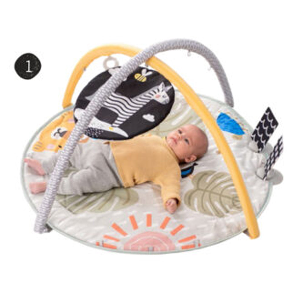 Taf Toys Savannah 360 Activity Gym motherswork Singapore