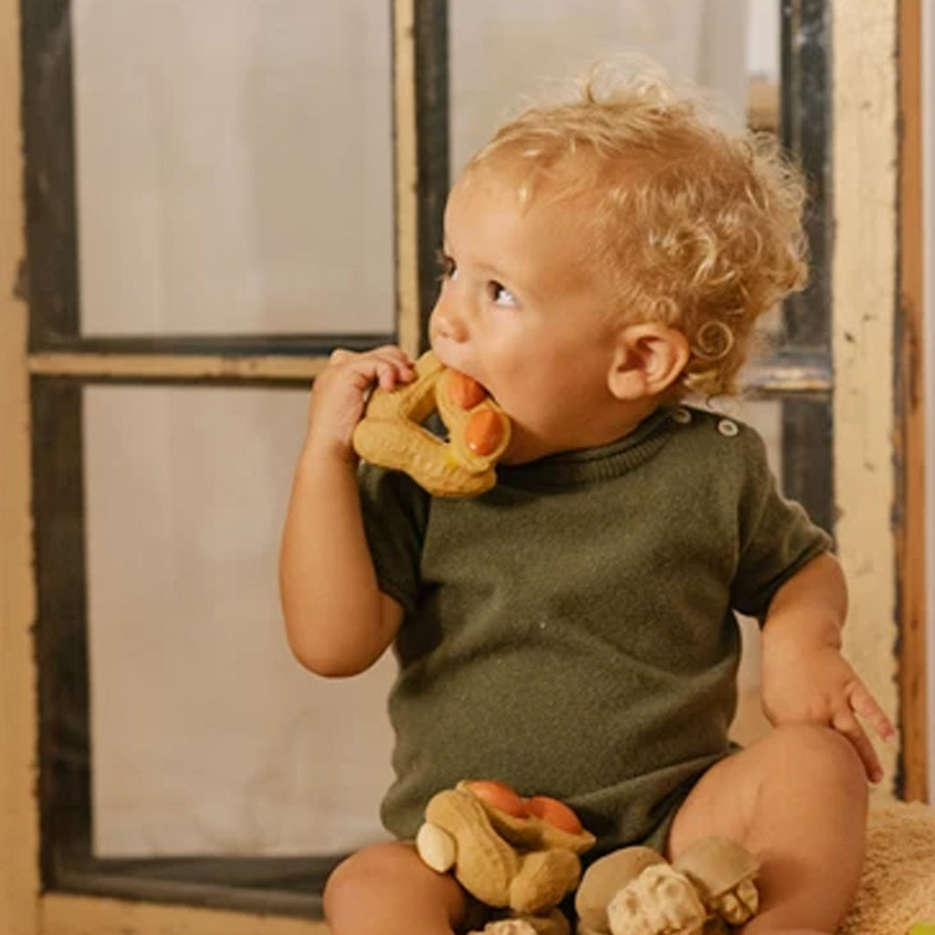 Oli&Carol Paco the Peanut Teether