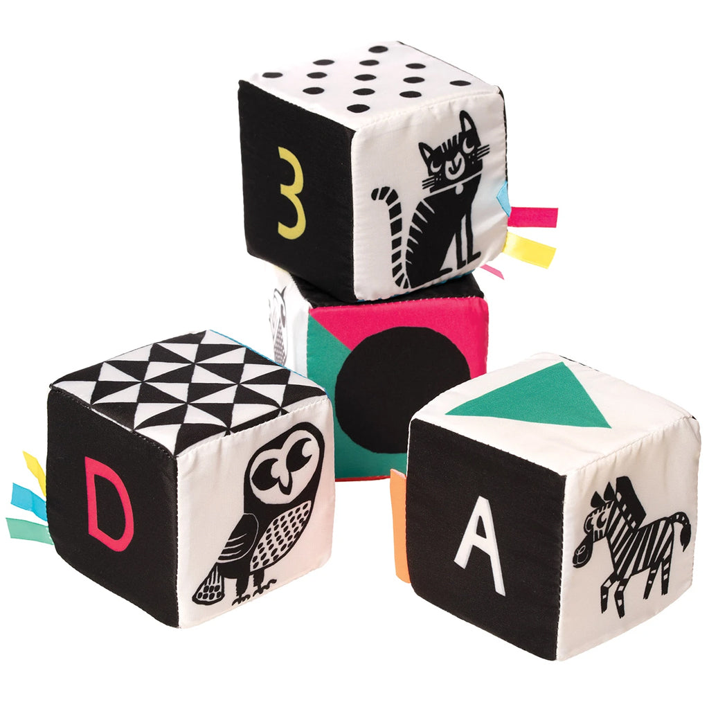 Manhattan Toy Wimmer Ferguson Mind Cubes