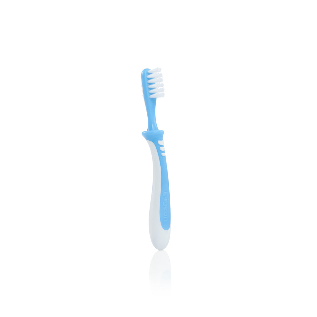 Pigeon Training Toothbrush, Lesson 3 Blue