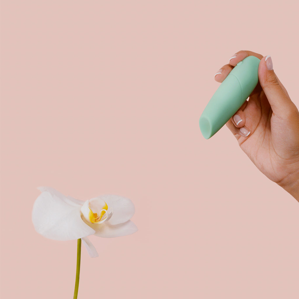 Smile Makers The Whisperer Vibrator